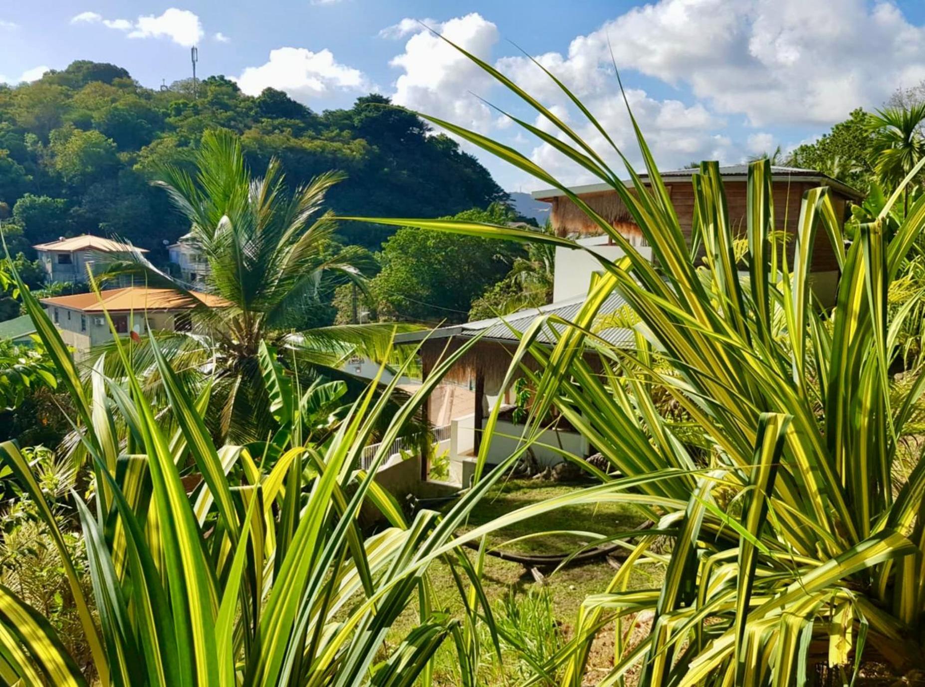 Cocotier, Elegant T3 Avec Jardin Tropical Leilighet Sainte-Anne Eksteriør bilde